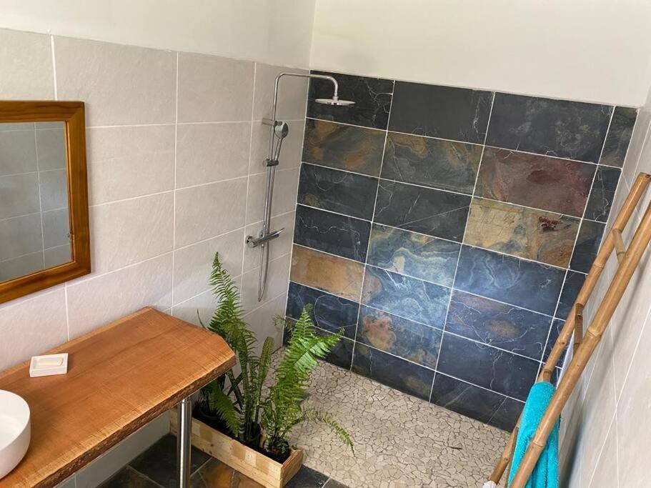 Zayann Zen Apartamento Gourbeyre Exterior foto