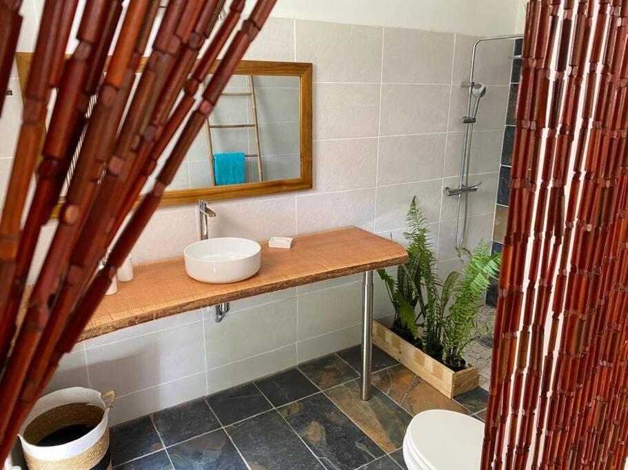 Zayann Zen Apartamento Gourbeyre Exterior foto